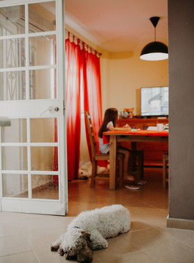 One day in the life with a family from Malaga