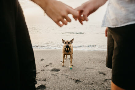 Sesión de fotos con perro en Manilva