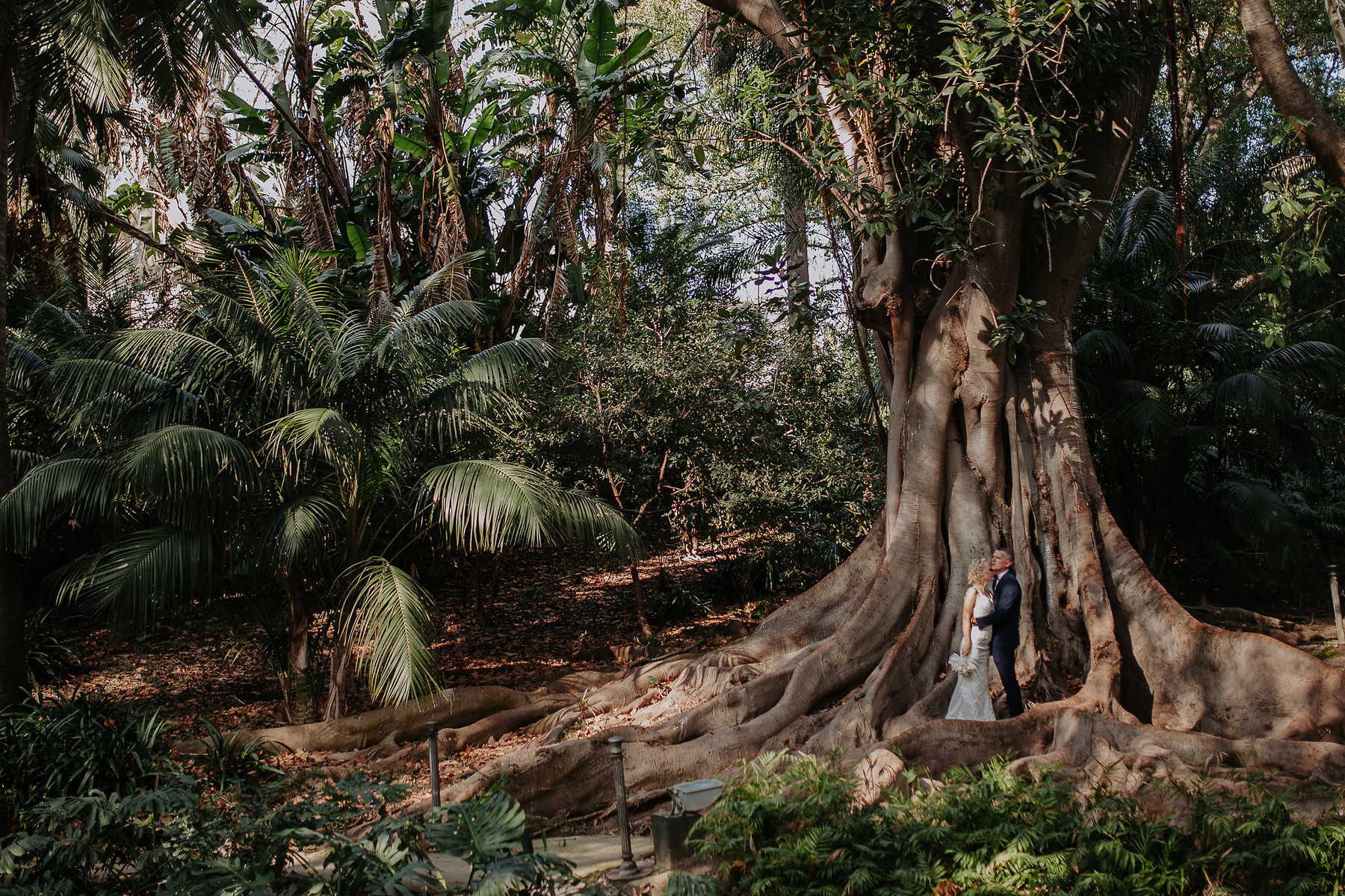 Wedding in the Botanical Garden of Malaga