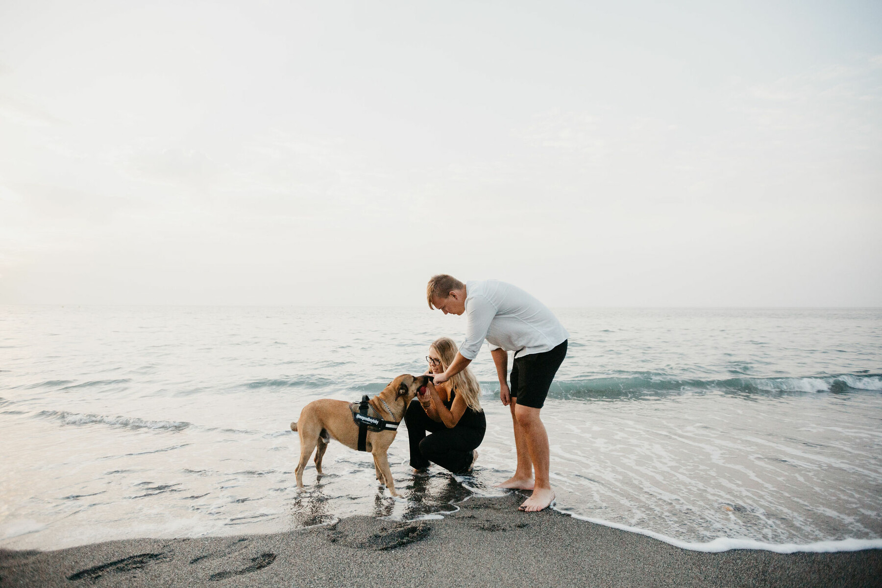 Sesión de fotos con perro en Manilva