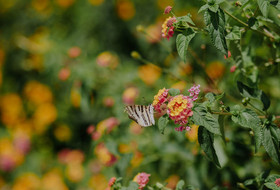 One day in the life with a family from Malaga