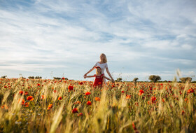 Sesión de fotos familiar en los campos de amapola