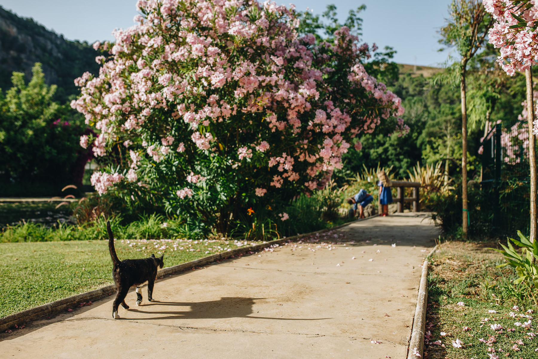 Sesión de fotos de familia en Benahavís 