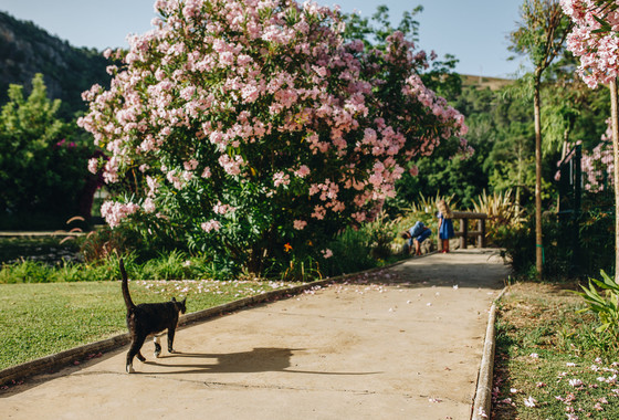 Sesión de fotos de familia en Benahavís 
