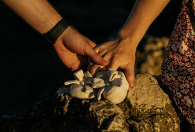 Photo set on the beach in Malaga