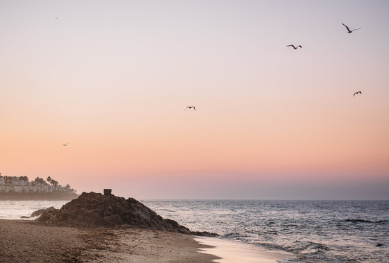Sesión fotográfica de embarazo en Riviera del Sol