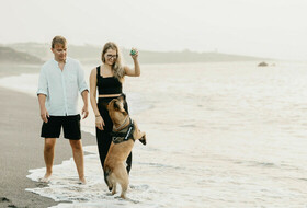 Sesión de fotos con perro en Manilva