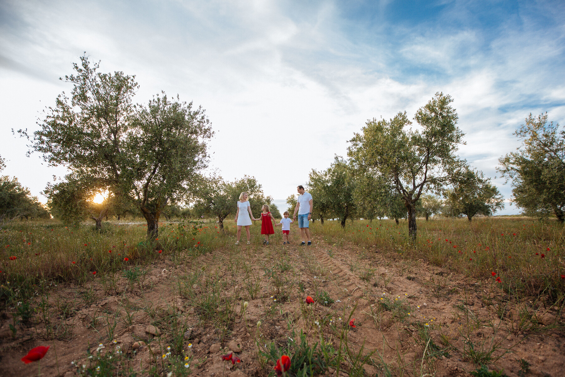 Sesión de fotos familiar en los campos de amapola