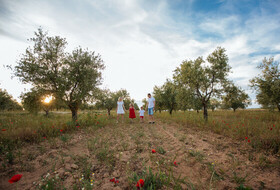 Sesión de fotos familiar en los campos de amapola