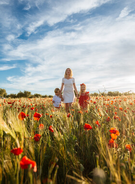Sesión de fotos familiar en los campos de amapola