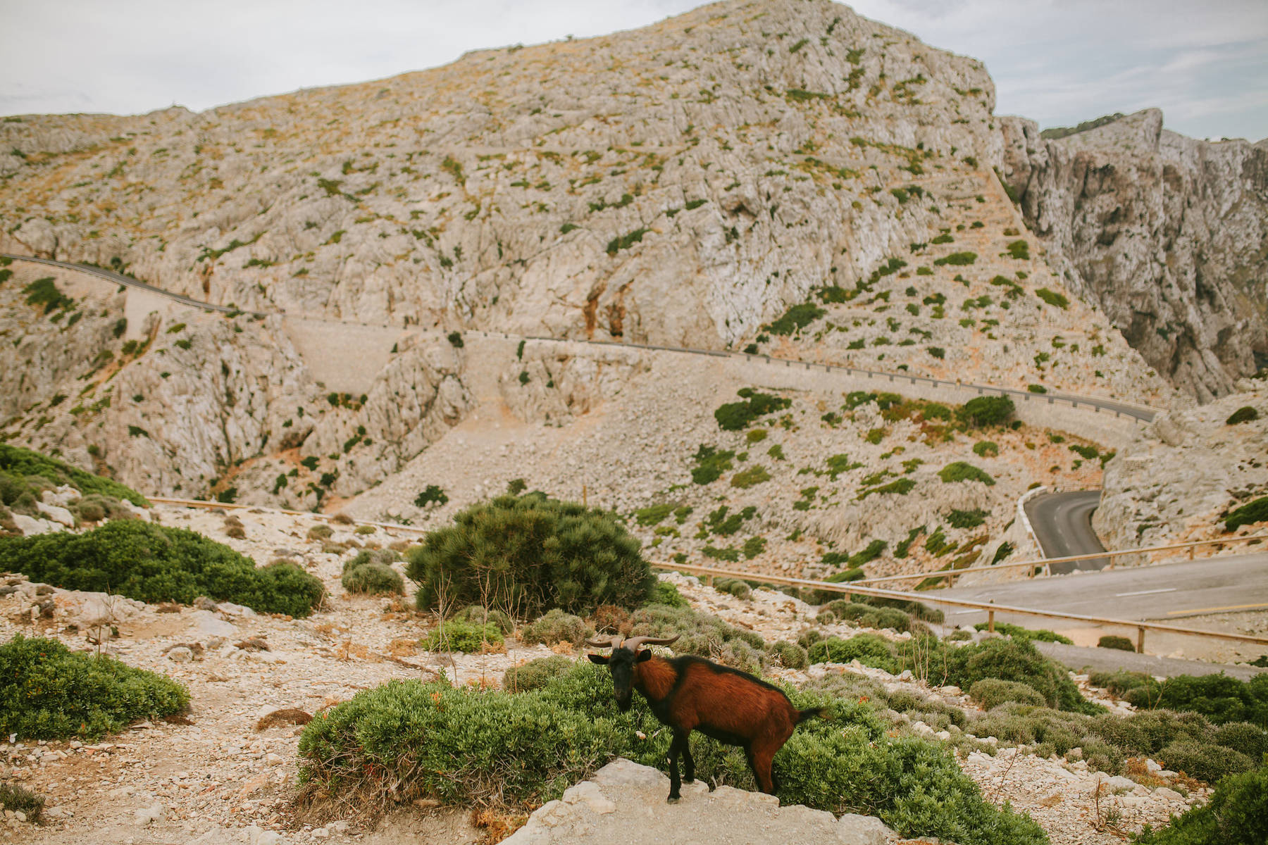 Wedding photography on Mallorca