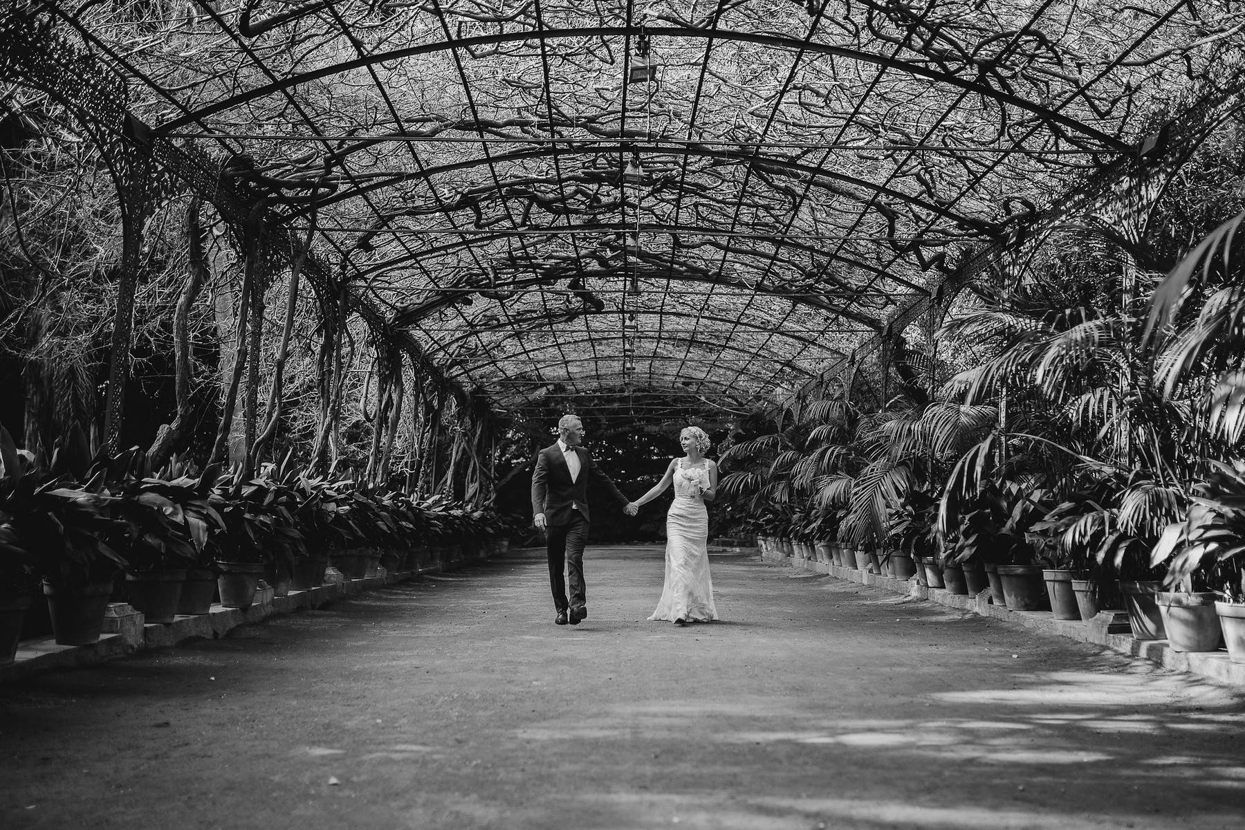 Wedding in the Botanical Garden of Malaga